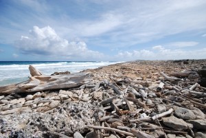 natura-aruba
