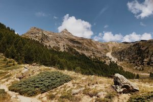 maso-corto-val-senales-top-residence-kurz-południowy-tyrol-latem-blog